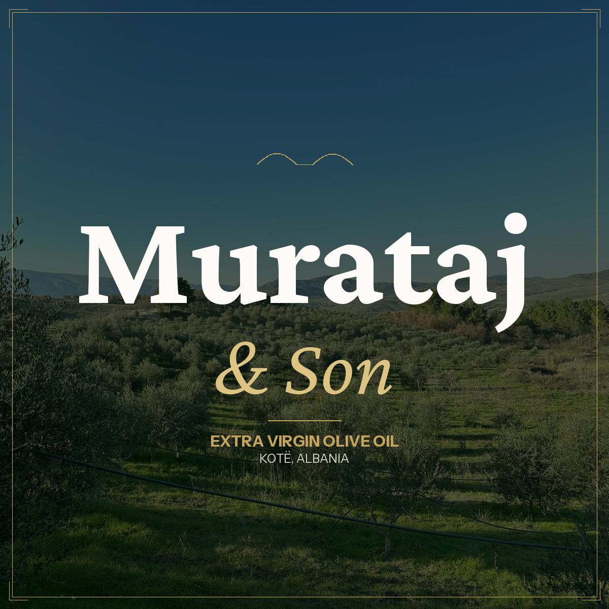 Murataj & Son olive grove emblem